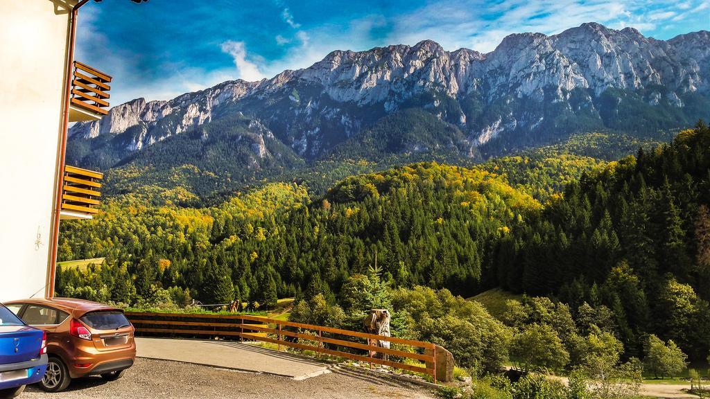 Panorama Pietrei Craiului 호텔 Zărneşti 외부 사진